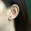 18K Gold-Plated Daily Wear Earring