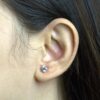 18K Gold-Plated Daily Wear Earring